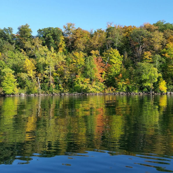 Big Cormorant Lake